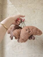 چارم بگ کروسان جاسوییچی