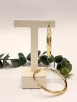 گوشواره حلقه ای وارداتی - تصویر 5