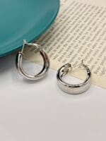گوشواره حلقه ای وارداتی - تصویر 4